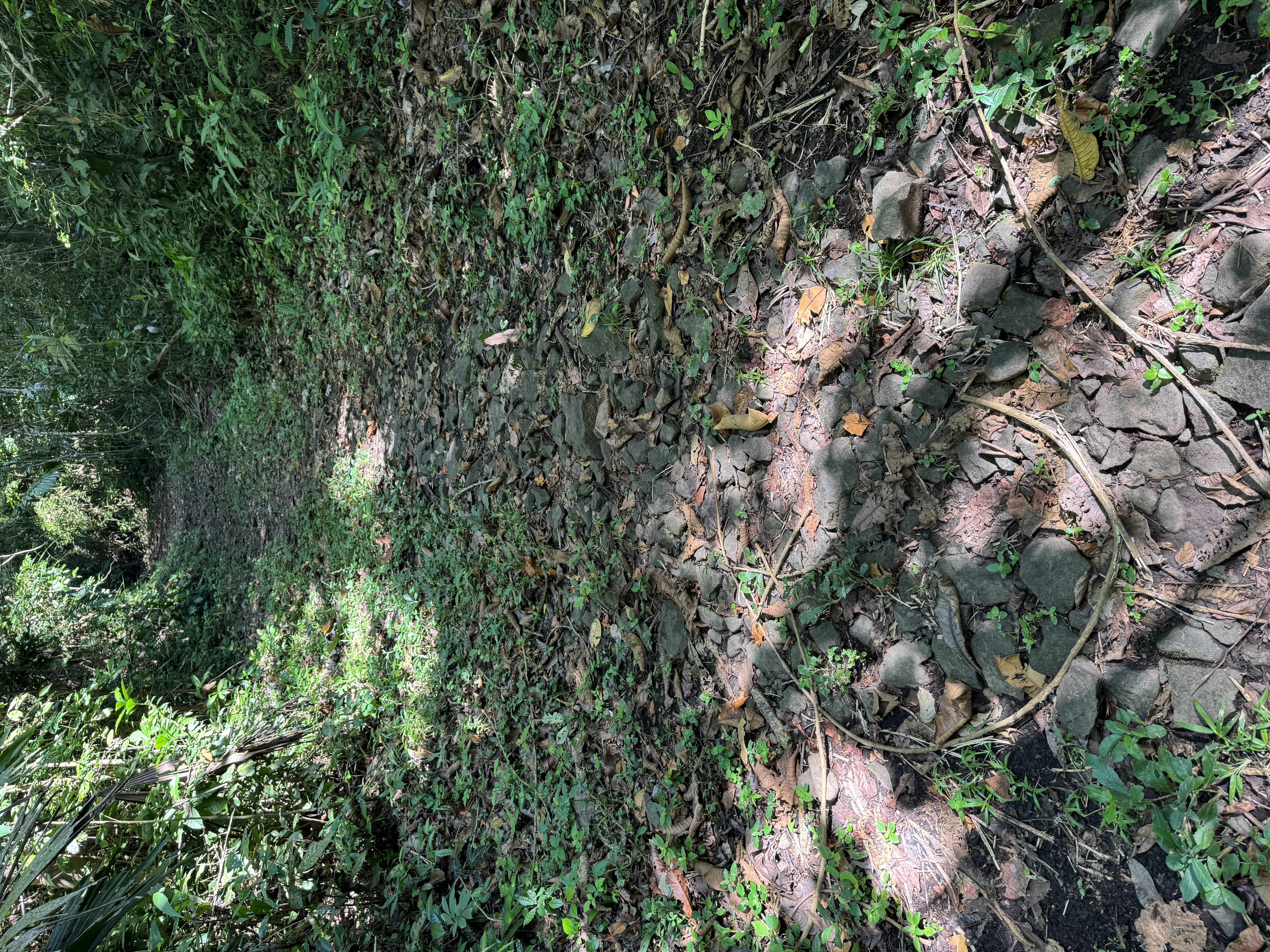 I did find this bit of the trail. It's a 10- or 15- minute walk from the visitor center at the Parque Nacional Camino de Cruces, about two m