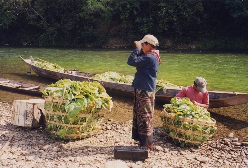Some miles up the Nam Khan, at Ban Aen, villagers prepare to bring vegetables to market.
