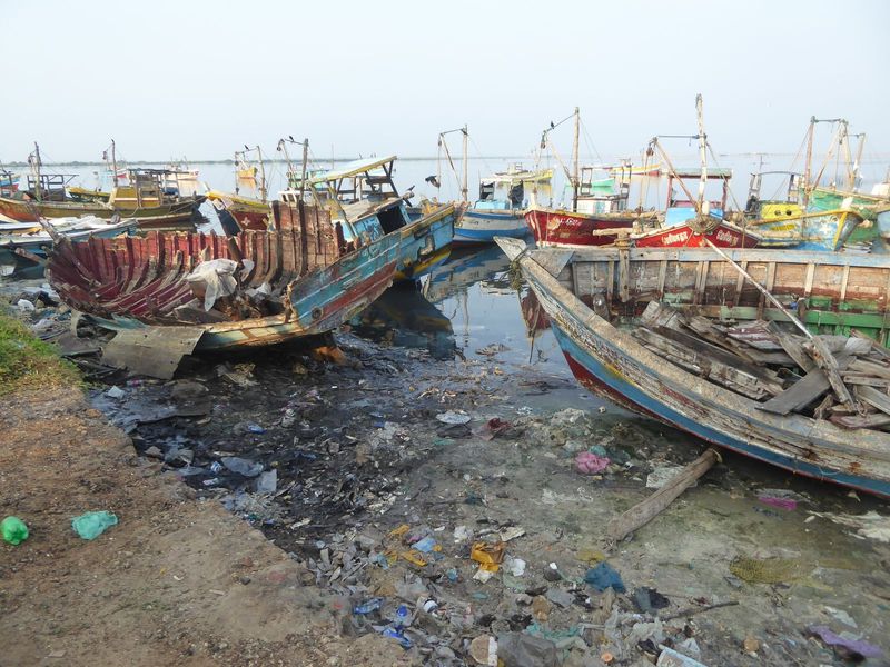 The fish boats are small and simple; when they die they decompose in situ.