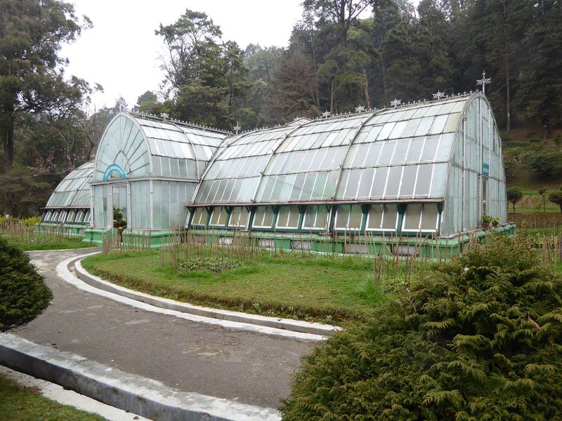 It's not Kew, but it's not nothing.