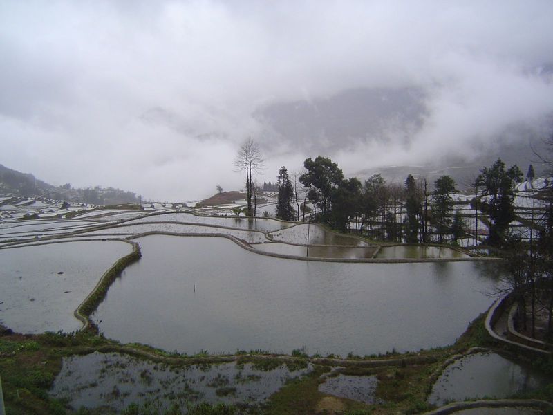 From the lower edge of the village, the terraces cascade down into the clouds.