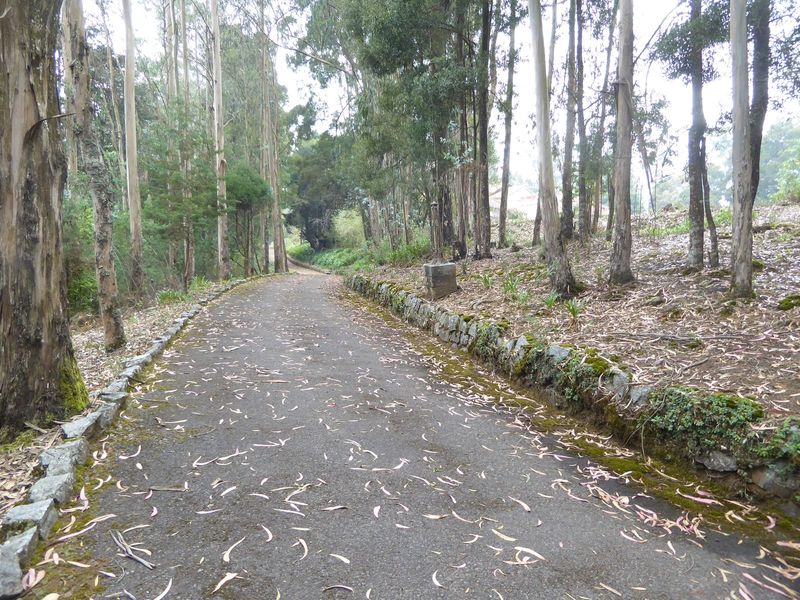Driveway: there's nobody here.