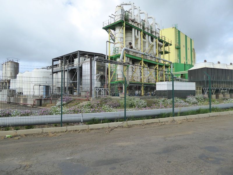 Looks a lot like an oil refinery.