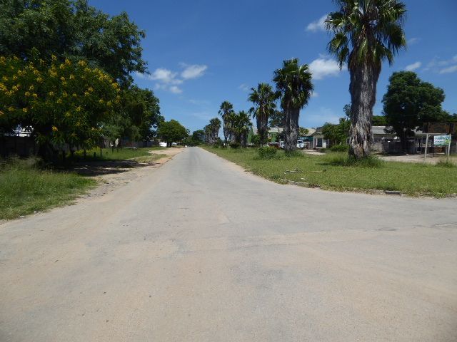 A true boulevard, though with palms in need of dethatching.