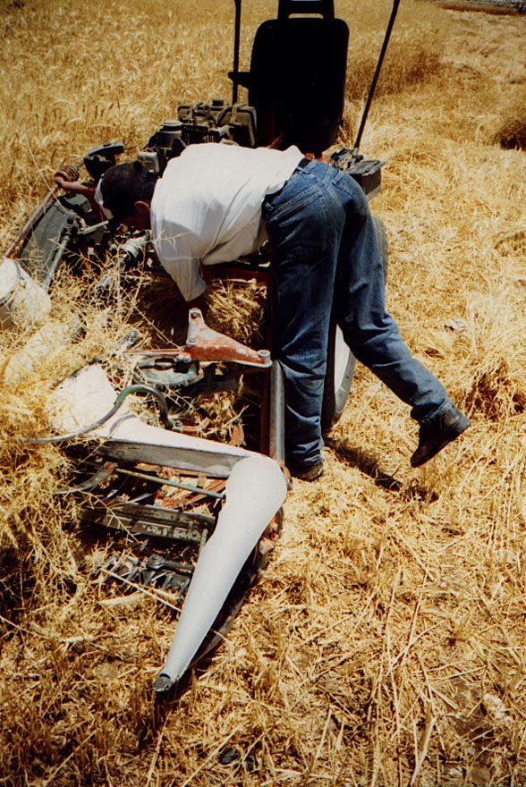 Such grain as in grown in the south is either harvested by hand by work crews drawn from local villages or it is harvested by small machines