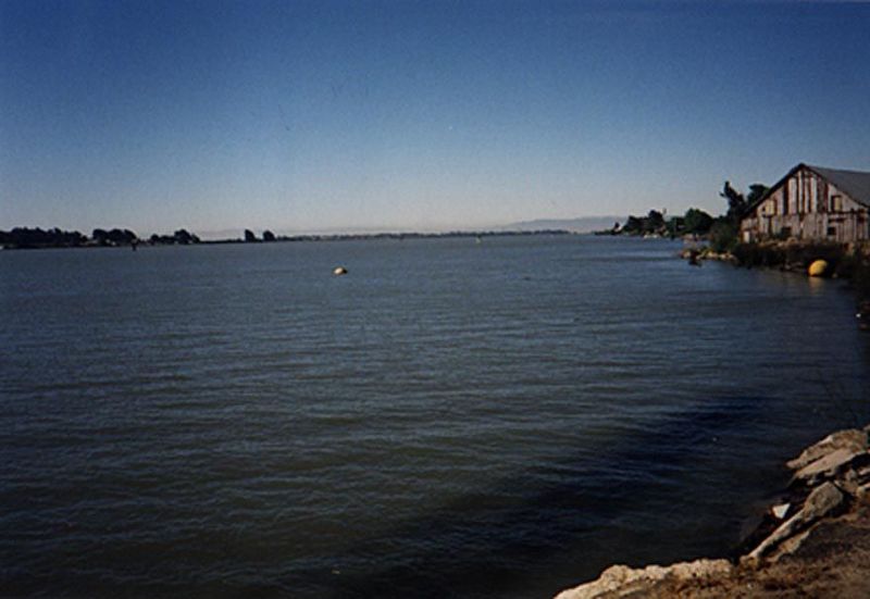 In the delta: water, water everywhere—in this case at Rio Vista.