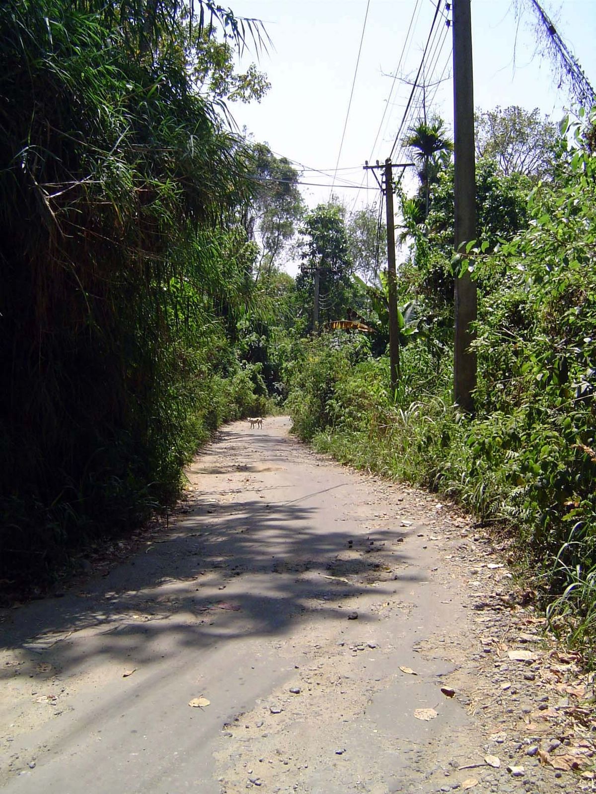 A country road snakes down to the railroad, mid-ascent here.