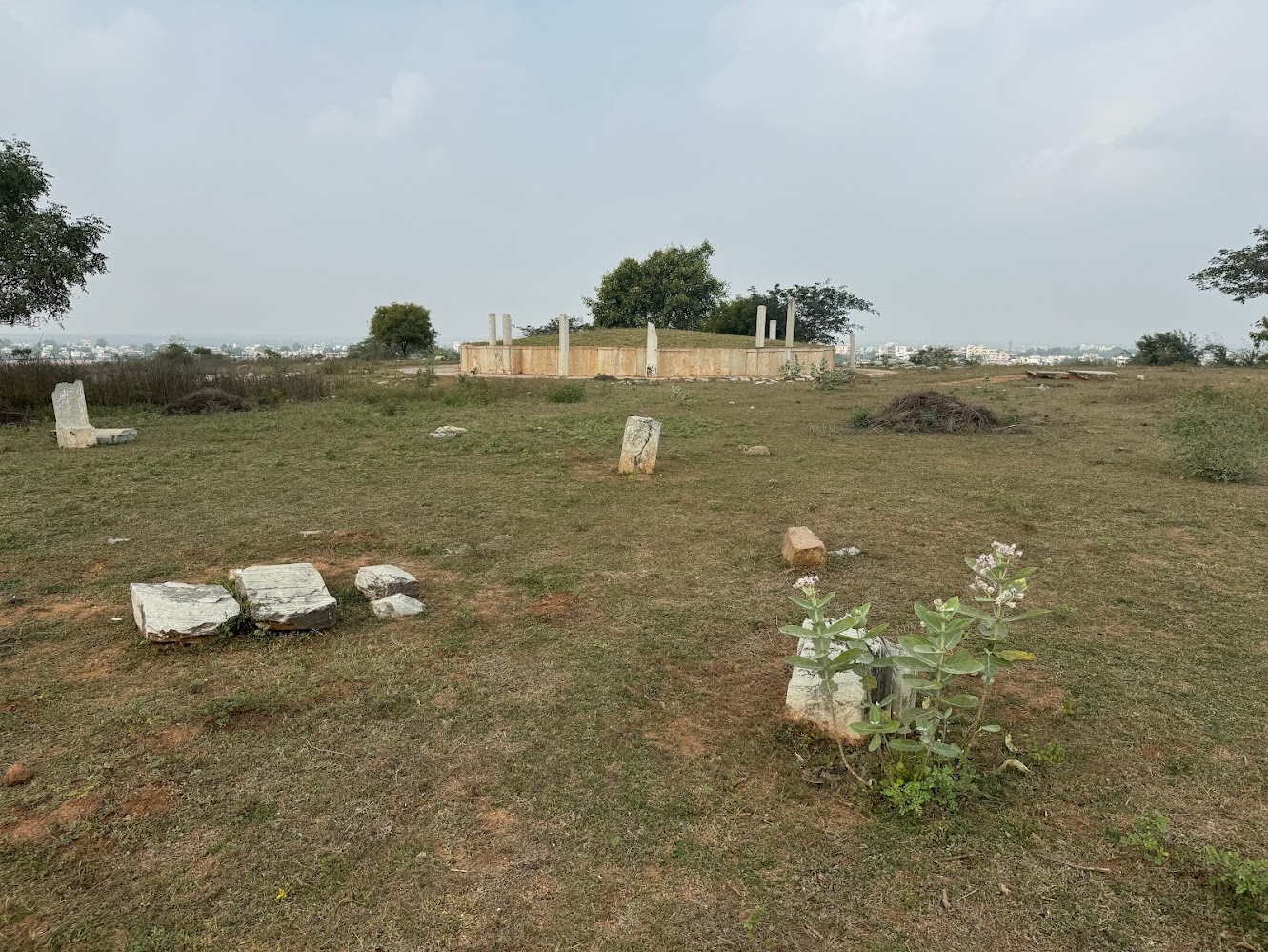 Here she be.  See Jas. Burgess, The Buddhist Stupas of Amaravati and Jaggayyapeta, 1887, and Alexr. Rea, South Indian Buddhist Antiquities..