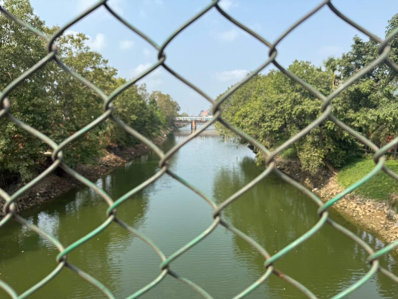 Ever think you'd appreciate chain-link fences?