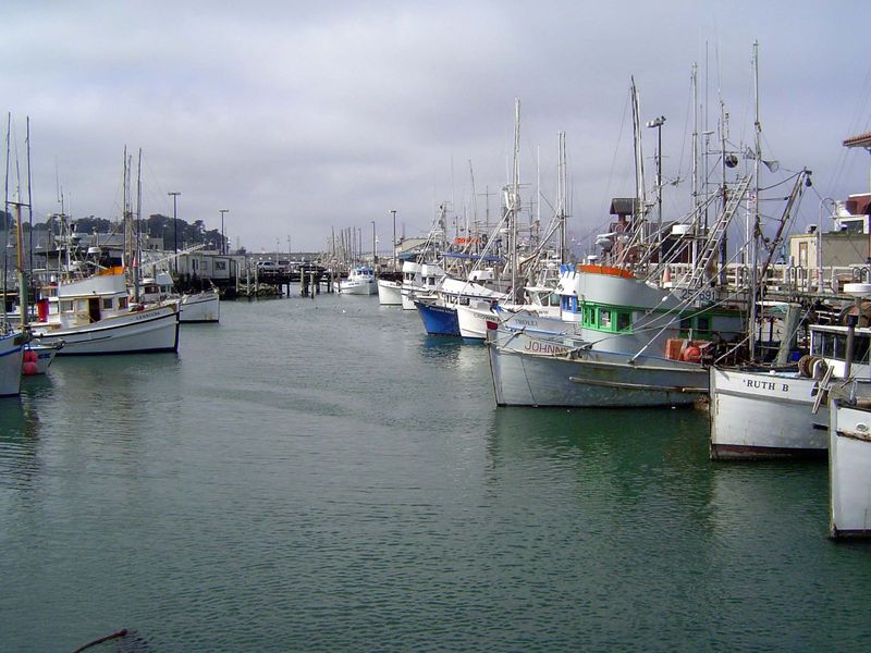 Fisherman's Wharf was a vastly more active place then than now. Salmon was no longer cheap—farmed salmon was unknown—but crabs still were, a