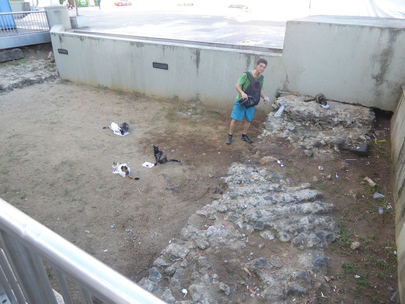 Nearby, someone feeds stray cats near a protected bit of the foundation of the old cathedral. The building was originally a Jesuit church, b