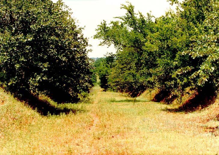 The Indian Meridian in Cleveland County. Along with the Indian Baseline, which it crosses in the Arbuckle Mountains of southern Oklahoma, th