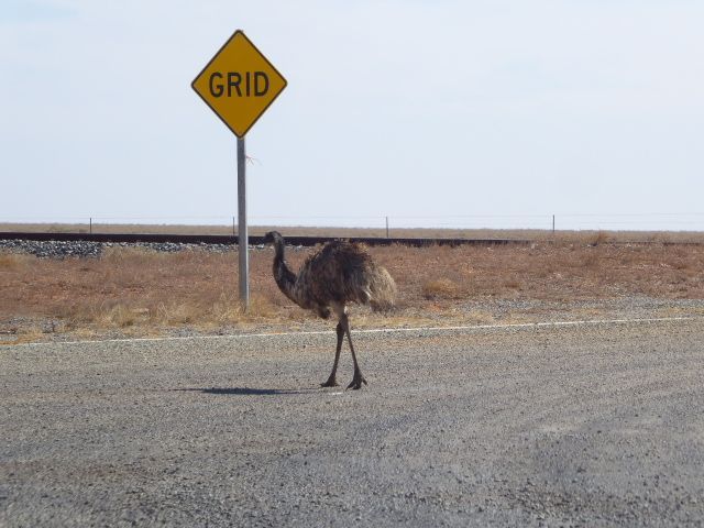 This one owned the road.