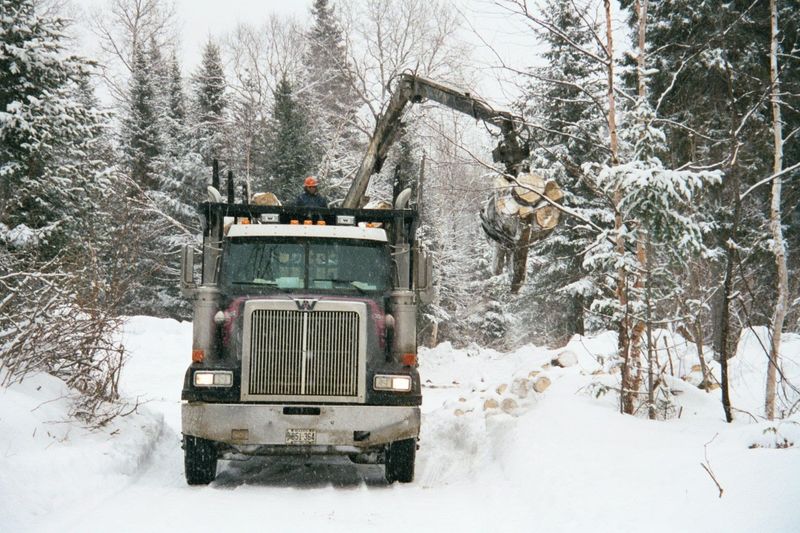 Who uses the railway? Logs do, in this case 4-foot lengths on their way to a pulpmill.