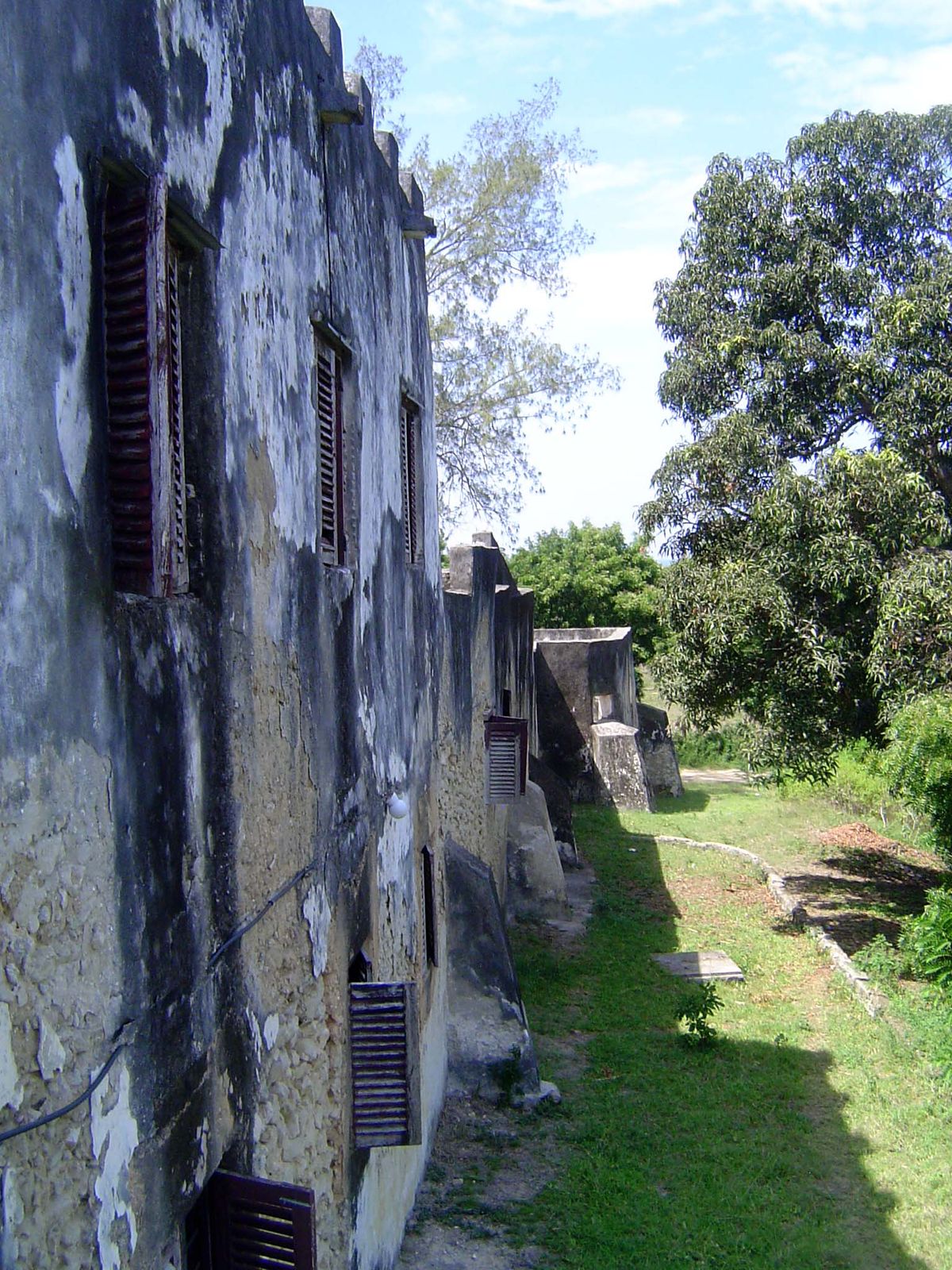 The outer wall.
