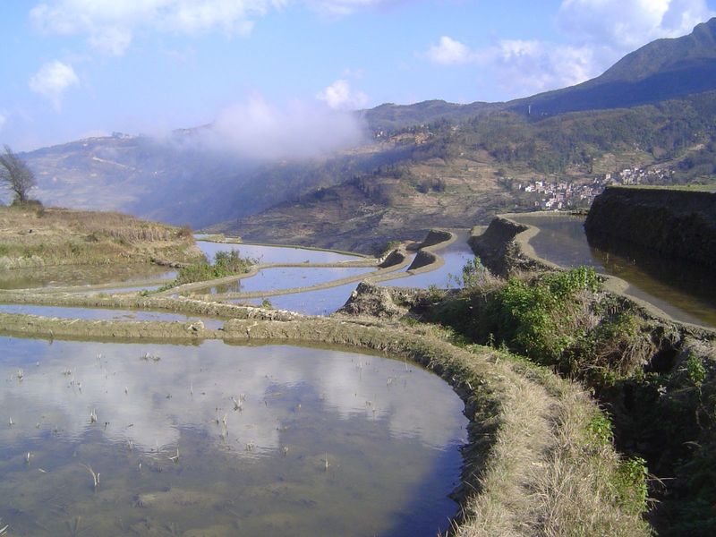 The main channel sweeps through a big, weedy "S" curve.