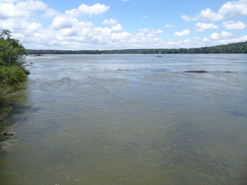 We've come a dozen miles upstream on the Iguaçu. The funny thing is that the Iguaçu starts only about 30 miles from the Atlantic but then fo
