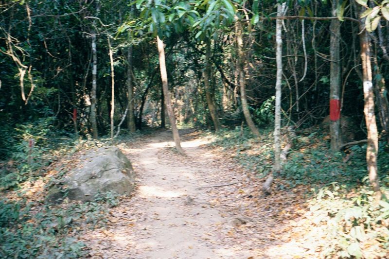 A half-hour's drive north of Banteay Srei, a path starts. The red banding marks the limits of the de-mined area. You don't see a lot of shor