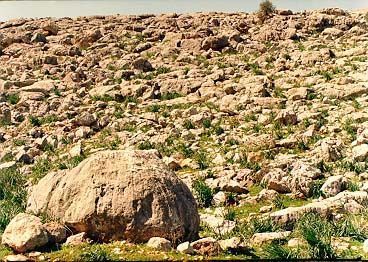 A closeup of the knobbled, abused surface near Aleppo.