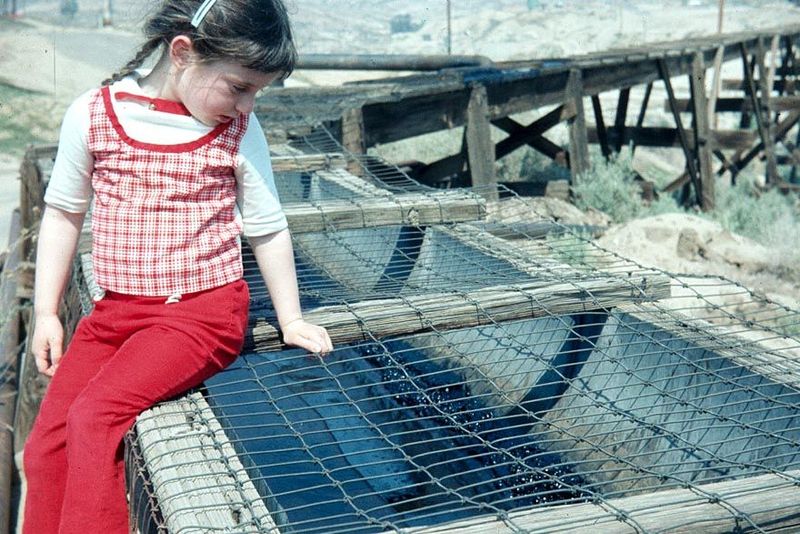 Here's the same flume as it comes across a wooden trestle. Evaporation? Carcinogenic? At least they've put some wire over the top to keep bi