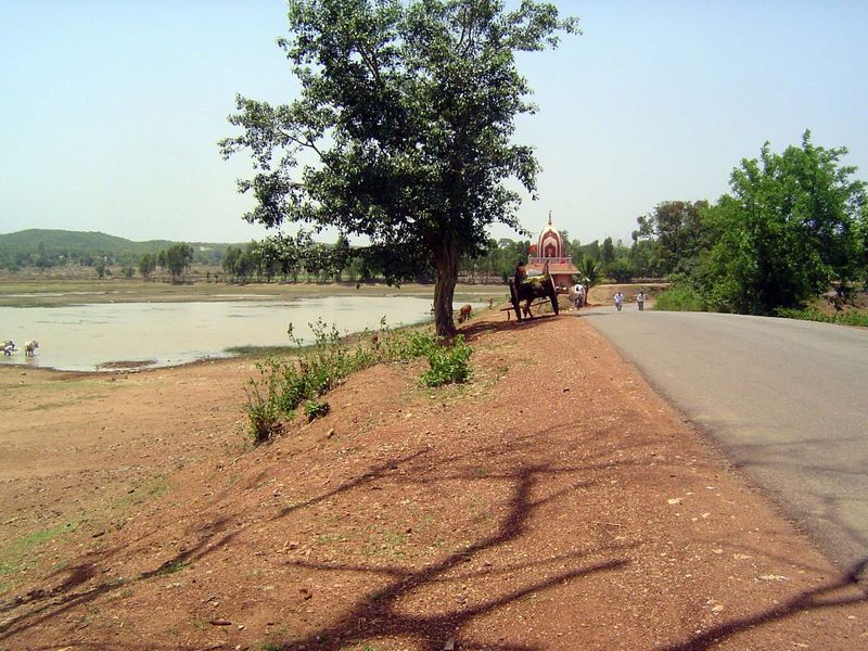 The road runs here on a pond-forming bund built to catch irrigation water.