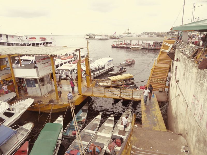 The article continues: "The annual rise and fall of the Amazon River there is about 40 feet, so that it was found necessary to provide float