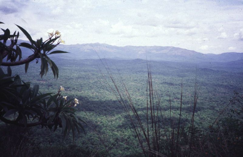 The eastern side of the mountain crest often lies within reserved forests, as here in the Shimoga District, Karnataka.