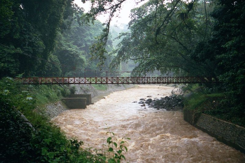Runoff can be heavy.