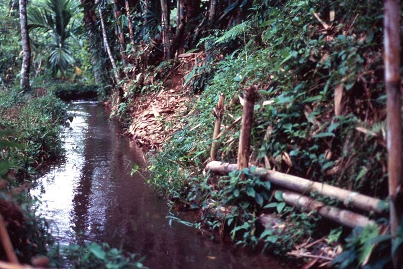 The Balinese are masters of capturing such streams and bringing them out of the ravines and onto flatter land. The work is done by villagers