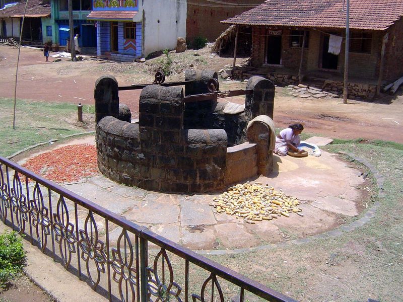 A fine old well, with crops drying on the apron.