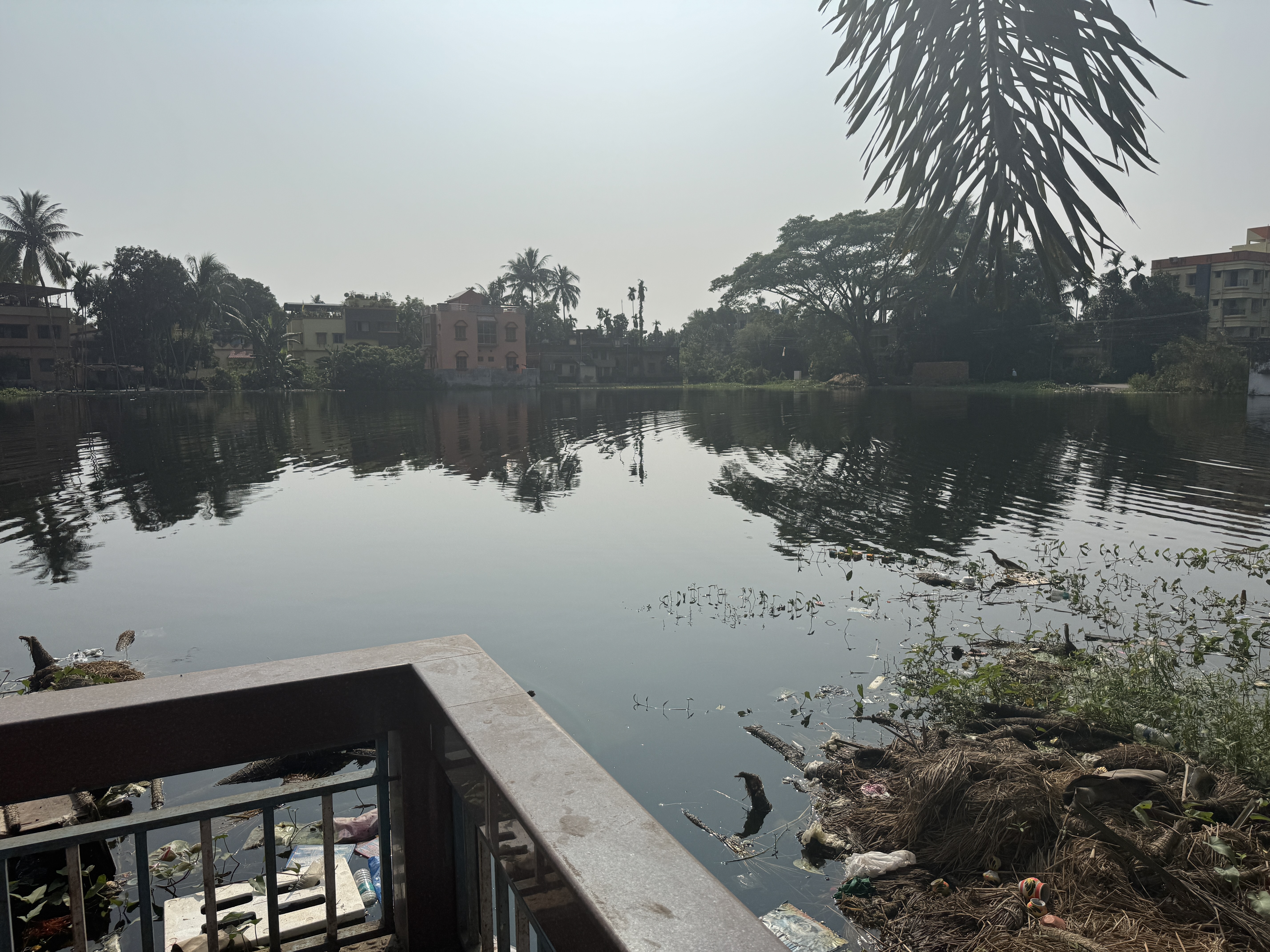 Satyajit Ray filmed Pather Panchali here over the space of several years in the early 1950s.  My driver and I had trouble finding the exact 