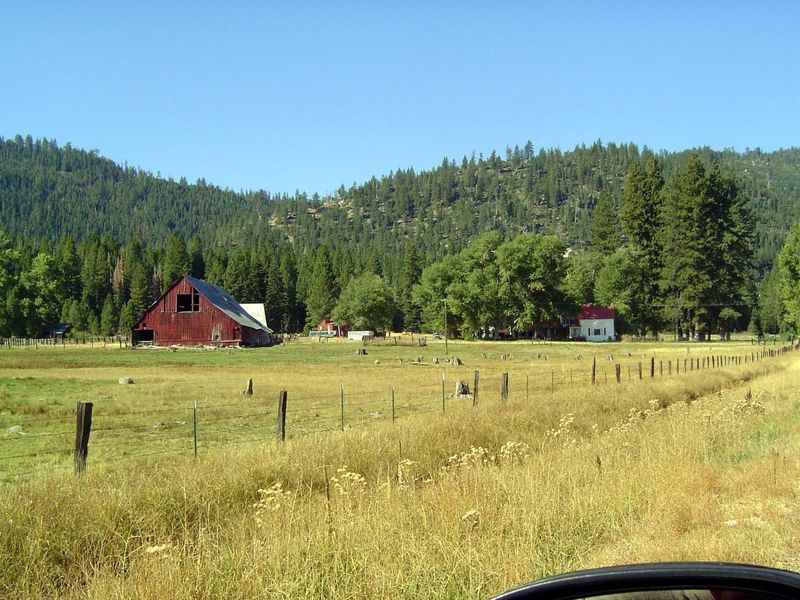 There are still active ranches here, just far enough away from civilization Truckee's 30 miles to the south that they have escaped the Calif