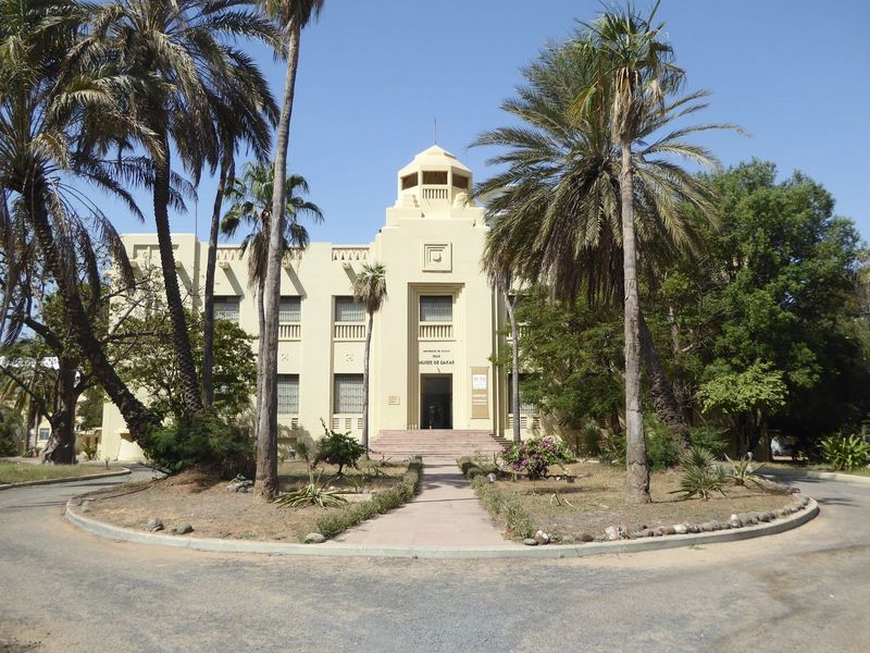 The Musée Théodore Monod d'Art Africain is part of IFAN, the Institut Fondamental d'Afrique Noire.