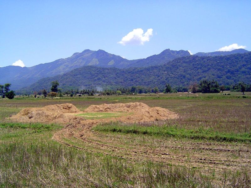 Along the river, there's a wide swath of land in paddy cultivation; here, a threshing floor is circled by straw.