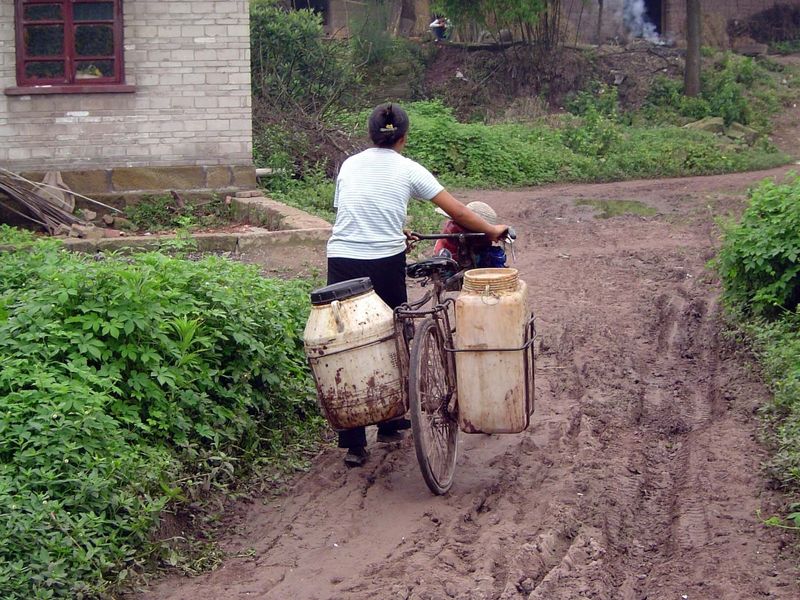 Back from selling milk?