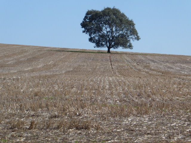 The trains are gone, but not the grain production.