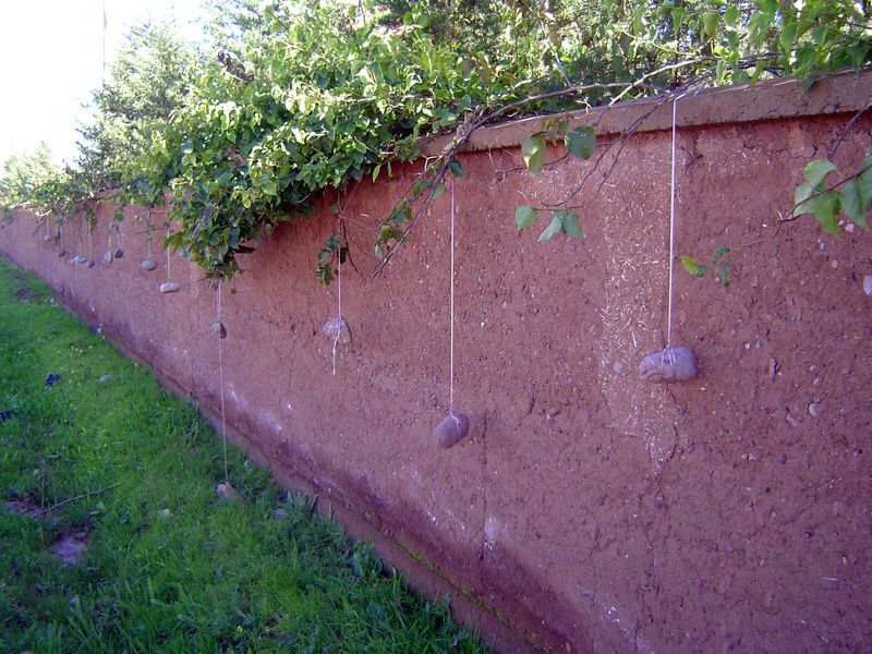 Gardeners train plants to hug the inside of those walls by tying them up with strings held taut by rocks on the other side.