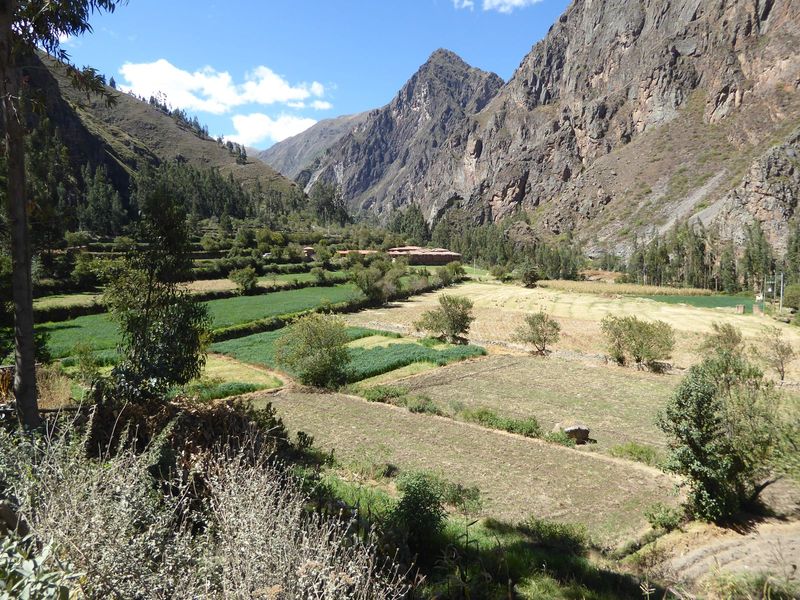 Here's the floor of the Patacancha Valley maybe two miles upstream from Ollantaytambo.