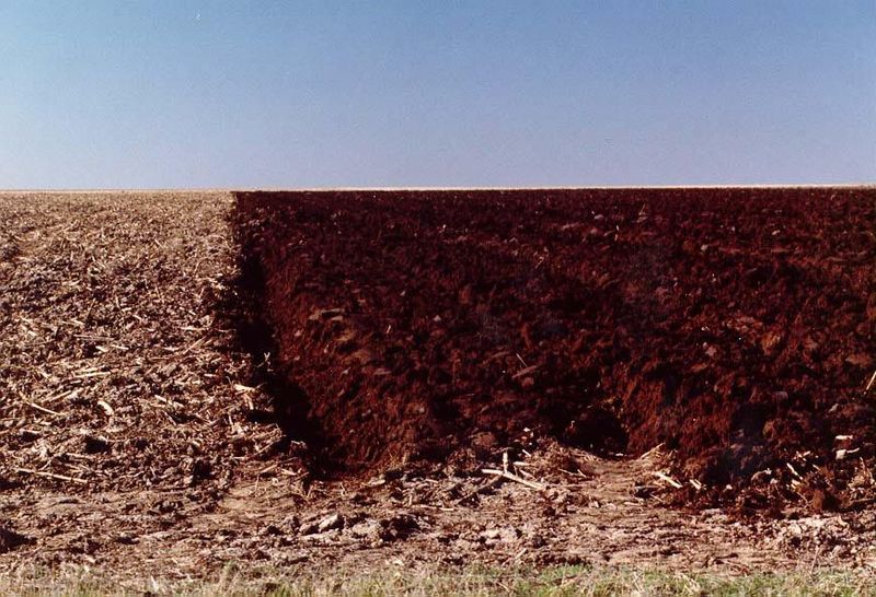 Starting a new season north of Tribune. This is the flattest part of the Great Plains.