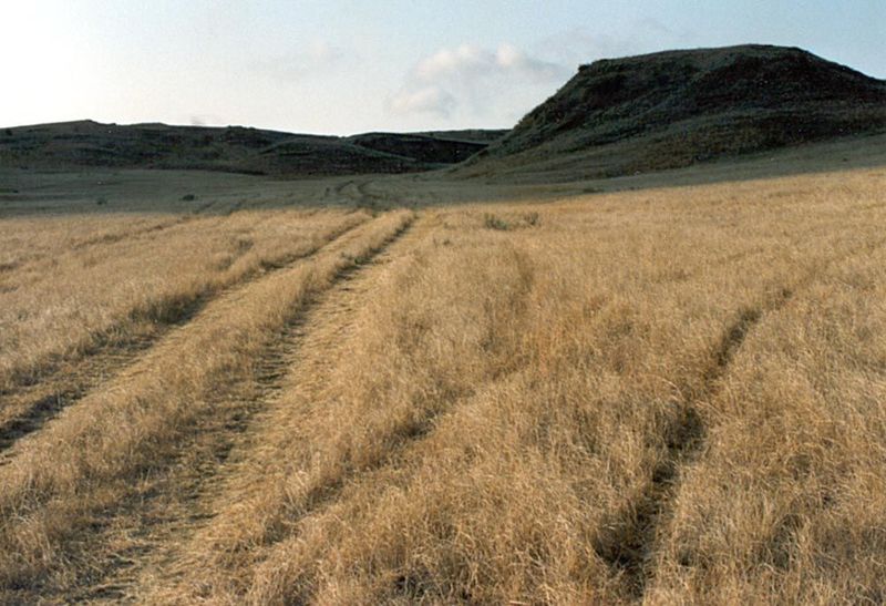 The federal government bought a lot of this land back from homesteaders in the 1930s, and this acquired land is now administered by the U.S.