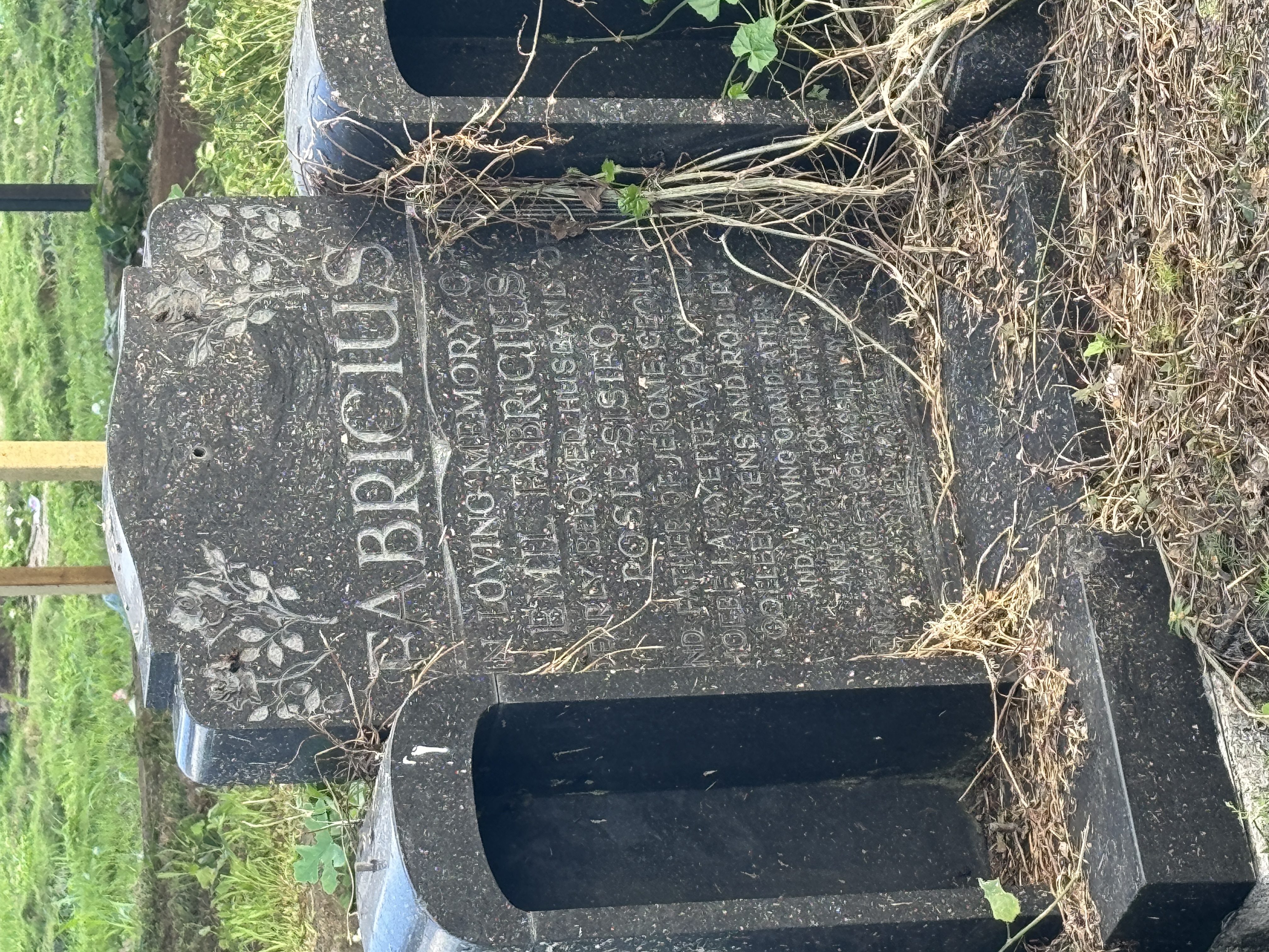 The cemetery wasn't just for Germans.  Here's a Dane, Emil Fabricius, 1906-1978.