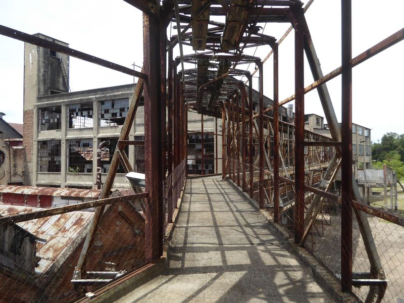 The view back to the slaughterhouse.