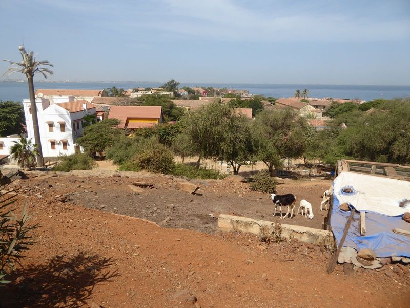View back over the terrace.