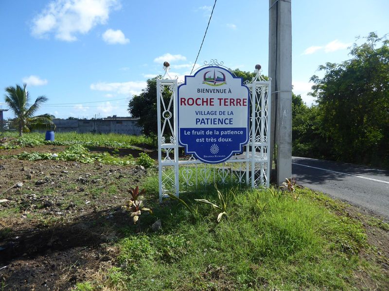 Meanwhile, thousands of people with historic ties to cane plantations have moved to various towns and found other work. You can guess why: a