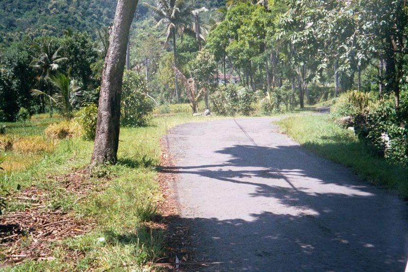 So long as the land is flat, there's a road; once we're in the hills we'll be on a trail.