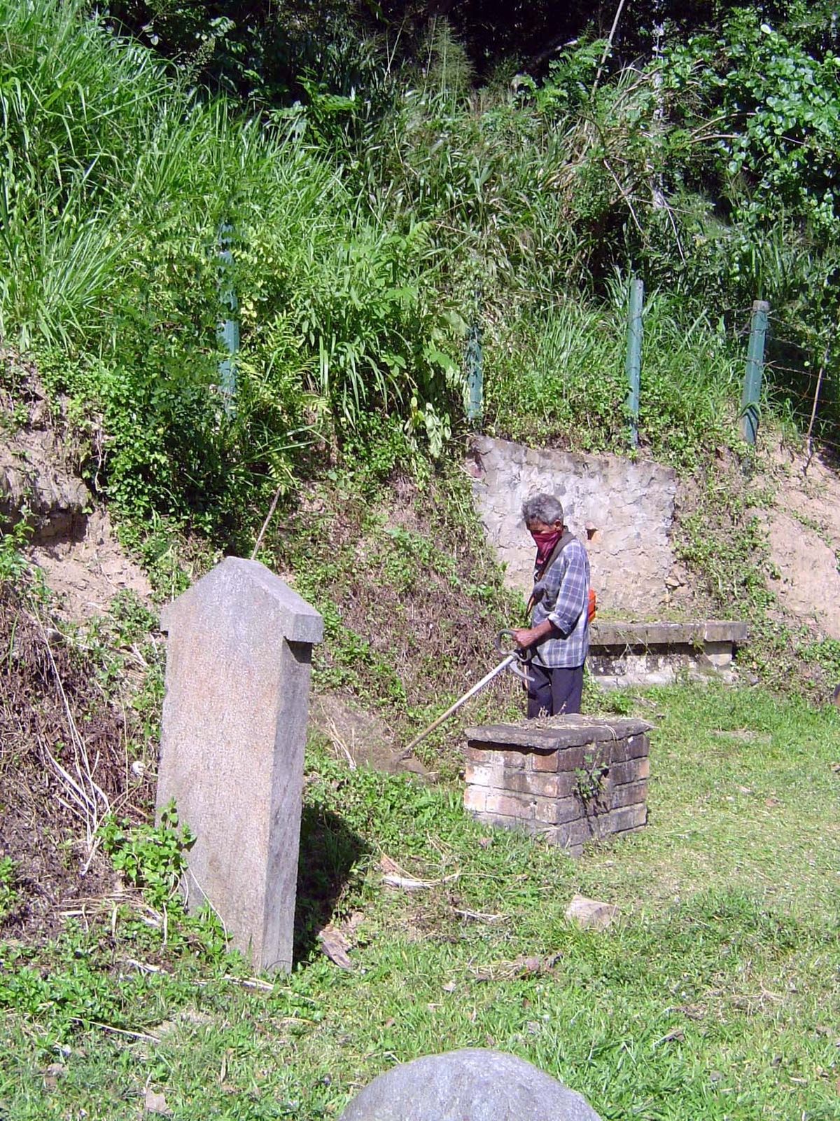 A weed whacker was now in use.