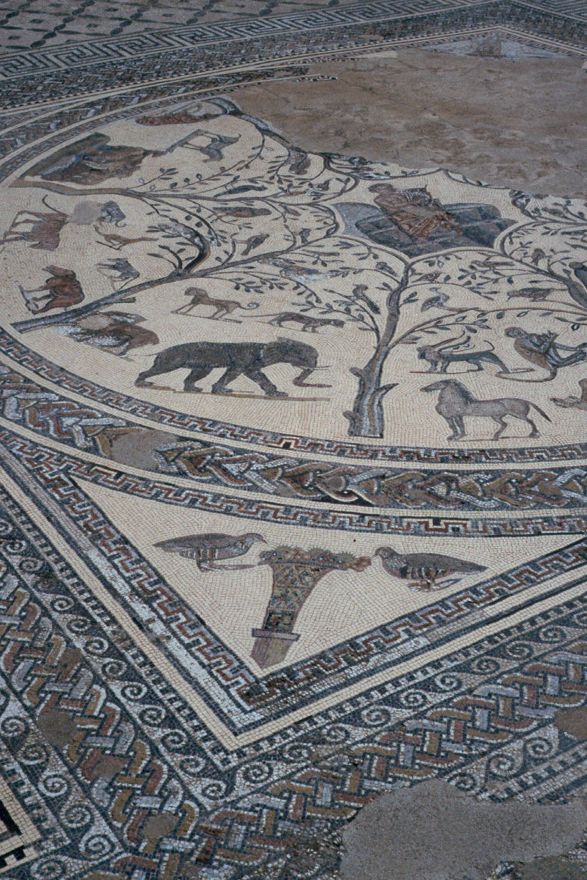 Detail of floor mosaic.