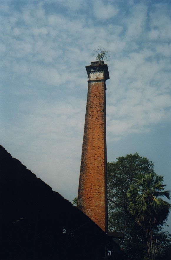 The mill had its own boiler to drive the machinery. The chimney isn't long for this world, however, if trees are allowed to grow in it.