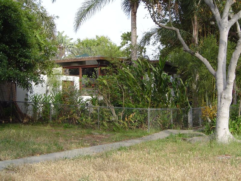Here, vegetation gone rampant.