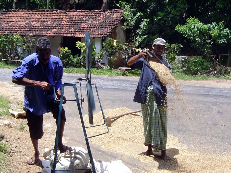 A road heads south and downhill to the coastal plain. Along the way, villages make their own winnowing breeze.